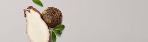 PRODUCT DETAIL INGREDIENTS - IPAD LANDSCAPE - 1024 X 292-Konjac Root Powder